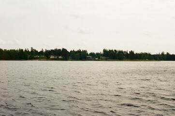 lake in the forest