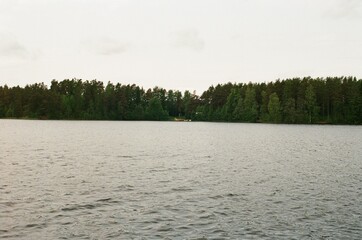 lake in the forest