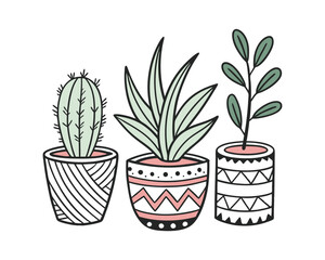 Three potted plants illustration in decorative pots