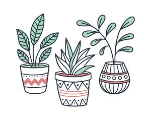Three Illustrated Houseplants in Decorative Pots