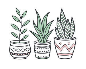 Three Illustrated Houseplants in Decorative Pots