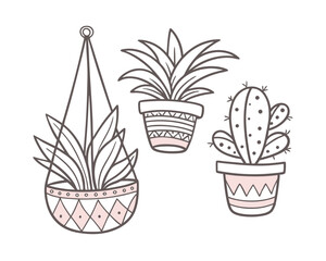 Cute Hand Drawn Hanging Plant and Potted Cactus Illustration