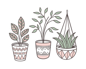 Three Illustrated Houseplants in Decorative Pots