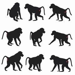 Baboon silhouette animal primate ape mammal wildlife