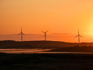 Renewable wind turbines in a vast field at warm orange sunrise. Alternative sustainable source of...
