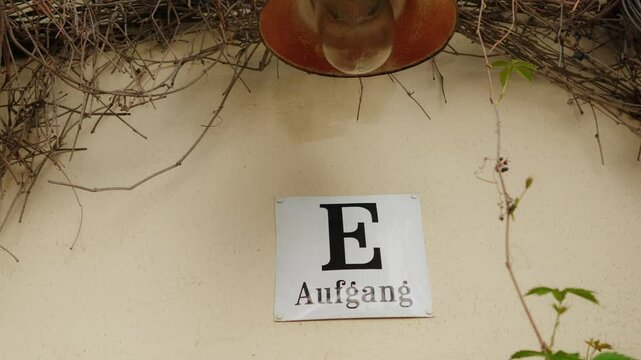 Letter E Entryway Sign with Rustic Wall and Light Fixture