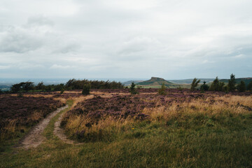 Obraz premium Fields at North York Moors National Park, view while climbing to Roseberry Topping, England, UK
