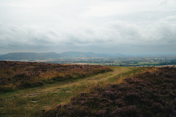 Fields at North York Moors National Park, view while climbing to Roseberry Topping,  England, UK