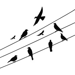 Silhouetted bird row on cable with natural poses vector