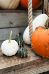 Halloween pumpin decorations, orange and white, autumn season