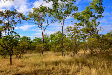 View of the Chillagoe - Mungana Caves National Park, featuring towering limestone fins and jagged...