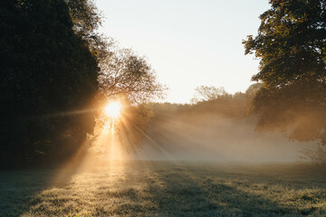 Foggy morning by the river canal in November, morning sunrise Barnsley, England, UK