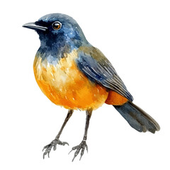 Crow, watercolor drawing vector, isolated on a white background.