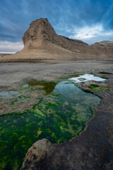 Coastal landscape in Peninsula Valdes at dusk, World Heritage Site, Patagonia Argentina