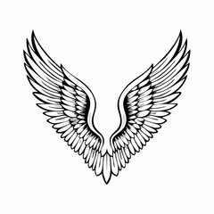 Elegant Angel Wings Vector Images isolated on white background.