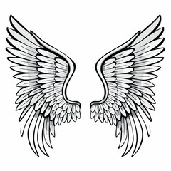 Elegant Angel Wings Vector Images isolated on white background.