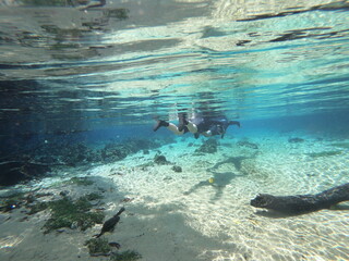 rio sucuri bonito ms