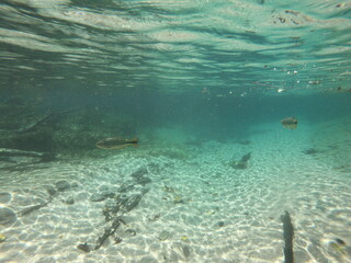 rio sucuri bonito ms