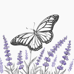 Butterfly on Lavender Flowers Enjoying Sunlight in a Natural Garden image vector.