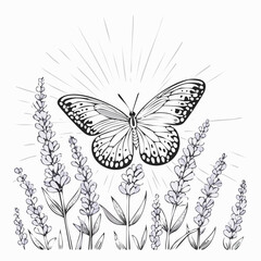 Butterfly on Lavender Flowers Enjoying Sunlight in a Natural Garden image vector.