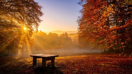 Autumn Sunrise Serene Golden Rays Illuminating Misty Forest Path