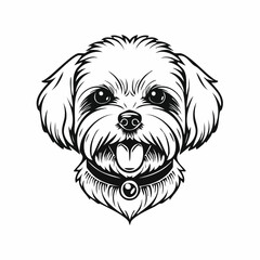 Cute Maltese dog with tongue out image vector isolated on white background.