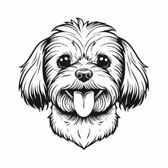 Cute Maltese dog with tongue out image vector isolated on white background.