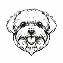 Cute Maltese dog with tongue out image vector isolated on white background.