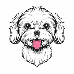 Cute Maltese dog with tongue out image vector isolated on white background.