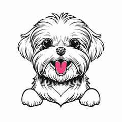 Cute Maltese dog with tongue out image vector isolated on white background.