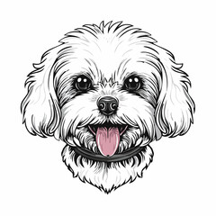 Cute Maltese dog with tongue out image vector isolated on white background.