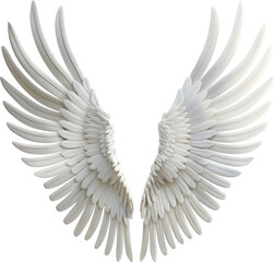 Obraz premium Angelic Wings: Detailed White Feathered Wings on a Clean White Background