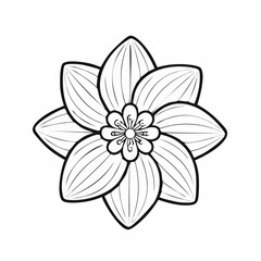 Fototapeta premium Citrus Flower Image Vector Isolated On White Background.