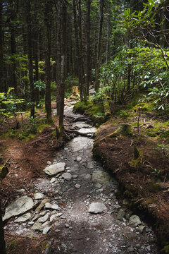 Daniel Boone Scout Trail to Calloway Peak on Grandfather Mountain, Boone, North Carolina