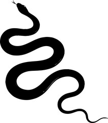 Elegant black snake isolated on black background