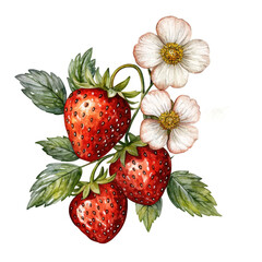 Vibrant strawberries with delicate white flowers, showcasing nature's beauty and freshness