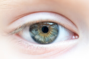 Female Blue Green Brown Colored Eye with Window Reflections. High Detail Structural Anatomy of Human Iris. Shot in Dayllight.