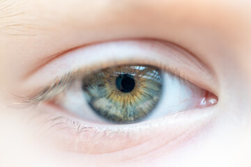 Child's Blue Green Brown Colored Eye with Window Reflections. High Detail Structural Anatomy of Human Iris. Shot in Dayllight.