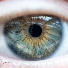 Close Up of Female Blue Green Brown Colored Iris with Window Reflections. High Detail Structural Anatomy of Human Iris. Shot in Dayllight.