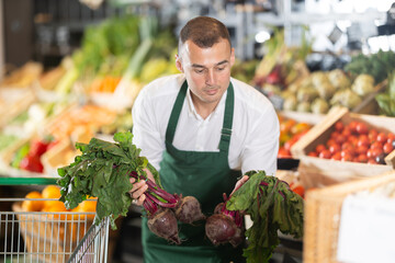 Young adult vendor in green apron sorting fresh beets on display in farm market, surrounded by...