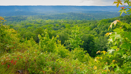 Panoramic view of forested mountains from the Keown Falls Loop Trail in Chattahoochee National Forest, Georgia