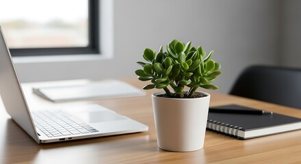 Fototapeta premium Modern Minimalist Workspace with Succulent Plant