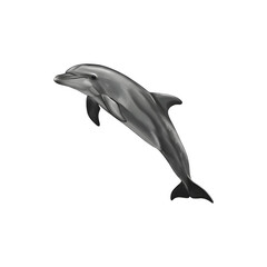 Obraz premium Graceful Dolphin Jumping Out of Water with Smooth Motion