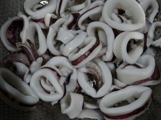 Raw squids