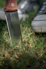Thriller/Crime: Shoes and knife in the grass