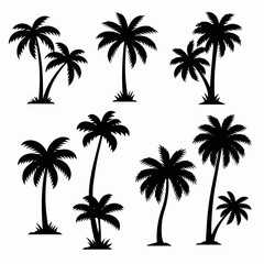 Palm tree silhouette tropical plant summer design