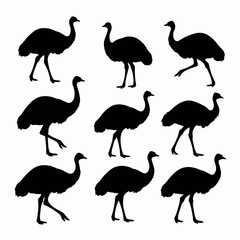 Ostrich silhouettes animal wildlife bird standing