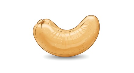 Single Cashew Nut Illustration on White Background