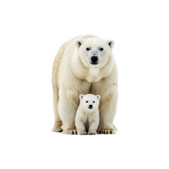 Obraz premium Polar bear mother with a cub in a heartwarming snowy family moment