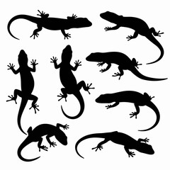 Lizard silhouette set reptile animal isolated